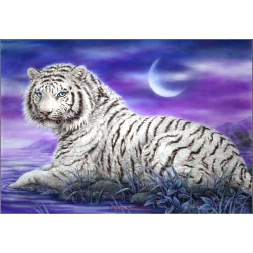 Embroidery Counted Cross Stitch Kits Needlework - Crafts 14 ct DMC Color DIY Arts Handmade Decor - Moonlight White Tiger