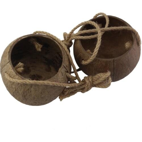 Creative Coconut Shell Hanging Basket Flower Pot Balcony Decoration Wall Hanging Succulent Plants Hanging basin wedding Vase