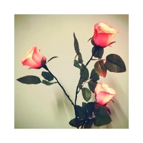 Light Rose Queen Magic Tricks Lighting Flower For Magicians Stage Illusion Magie Gimmick Props Accessories Magic Toys