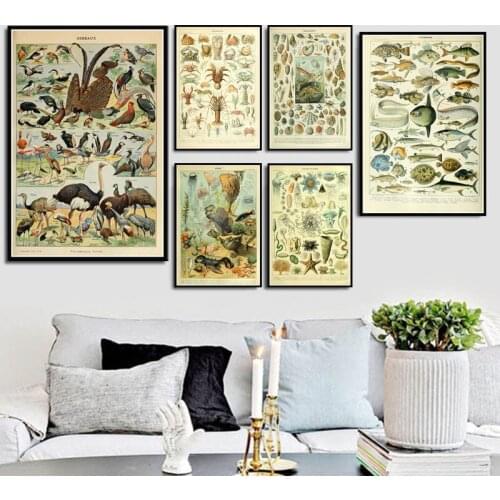 Ocean Sea Shell Fish Animal Vintage Life Chart Biology Poster And Prints Painting Art Wall Pictures For Living Room Home Decor