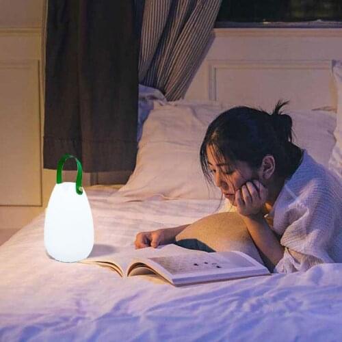 Outdoor Garden Lamp Indoor Night Light Portable Table Lamp Pendant Lights 16 Colors Bedroom Wall Decoration Lighting