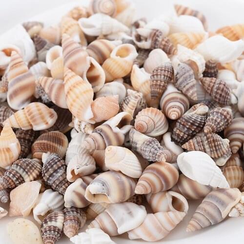 20g/Lot 8 Colors Cute Natural Shell Beads Charm Small Sea Snail Shape Beads For Jewelry Making DIY Necklace Bracelet Accessories