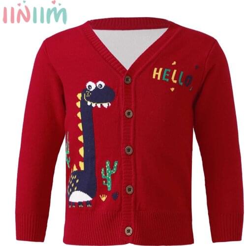 Iiniim Sweaters For Girls