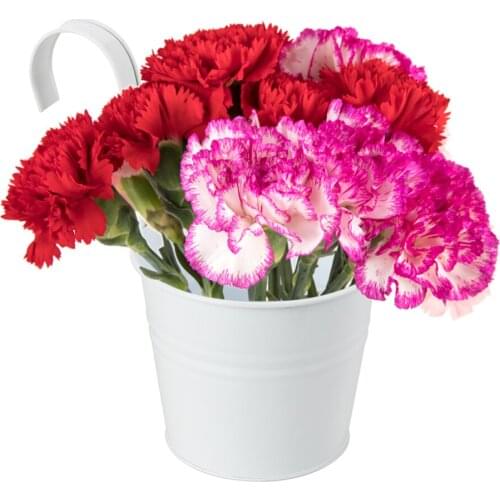 Hanging Flower Pots Plant Growth Gardening Supplies 10pcs With Hooks Home Decoration Iron Bucket