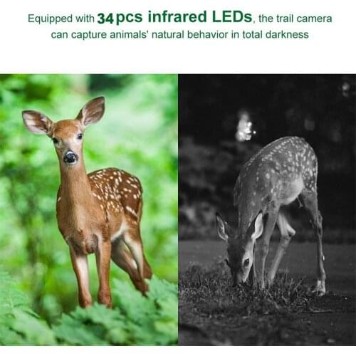 Mini 1080P HD Hunting Camera Animal Wildlife Scouting Trail Cam