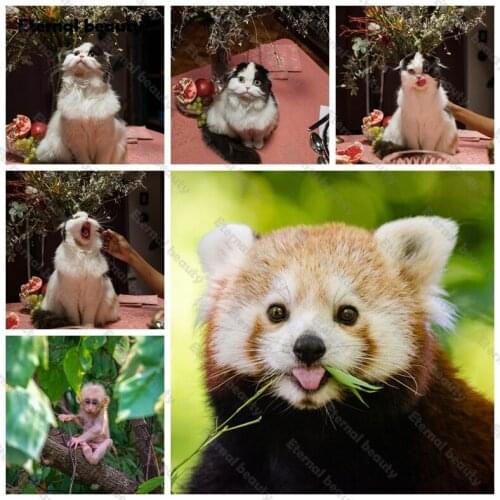 Cats 5D Diamond Painting Animals Diamond Mosaic Painting Diy Full Drill Diamond Embroidery Cross Stitch Rhinestone of Pictures