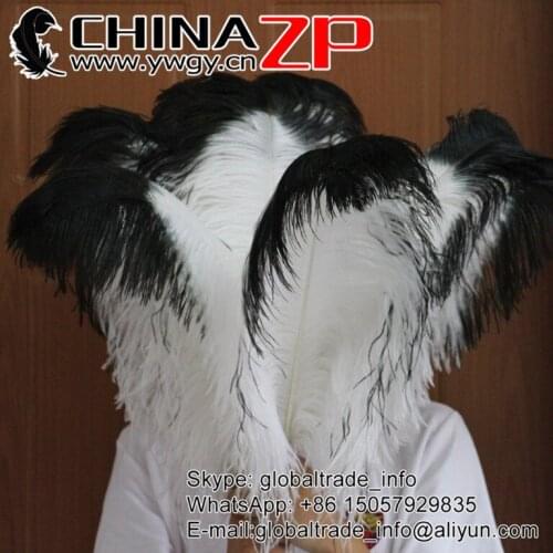 CHINAZP Factory Size 70-75cm (28"-30") 50pcs/lot Best Quality White with Black Tip Large Ostrich Feather