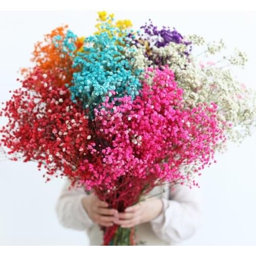 Dried Natural Gypsophile Fresh Forever Babysbreath Preserved Flowers Eternal Flower Material Wedding Supplies Deco Marriage