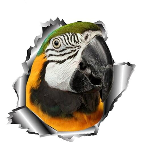Dawasaru Parrot Torn Metal Car Sticker Personalized Sunscreen Decal Laptop Motorcycle Auto Accessories Decoration PVC,13cm*12cm