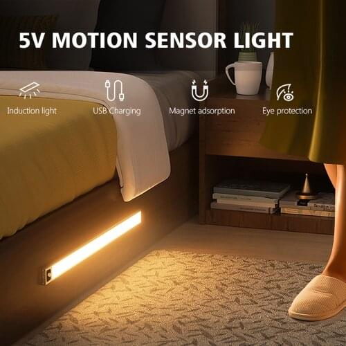 Guillermo Night Lights