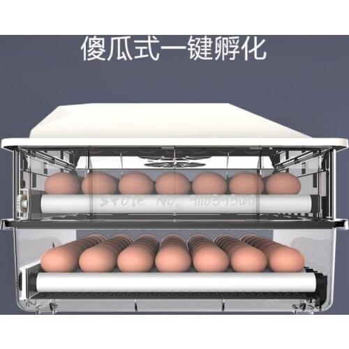 Incubator Incubator Intelligent Small Water Bed Incubator Mini Household Full Automatic Chicken Duck Goose Incubator