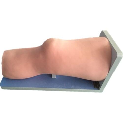 BIX/CK20135 Knee Joint Intracavity injection Model