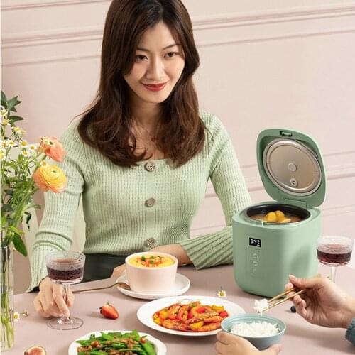 Rice Cooker Multifunctional Automatic Smart Mini Rice Cooker Dormitory Cooking Life Elements