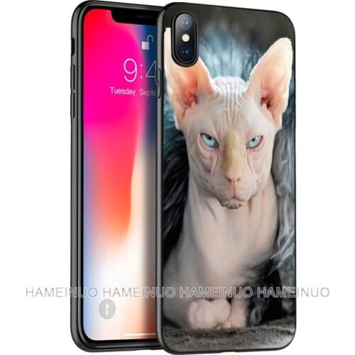 Black tpu case for iphone 5 5s SE 2020 6 6s 7 8 plus x 10 case silicone cover for iphone XR XS 11 pro MAX case sphynx cat