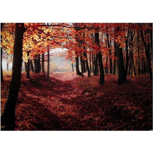 Forrest Trees Autumn Leaves Landscape Art Film Print Silk Poster Home Wall Decor 24x36inch