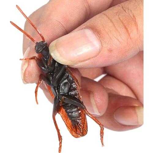 10PCs Simulation Cockroach Funny Toy Novelty Fake Roaches Prank Tool Tricky Disgusting Scary Spoof Bugs Realistic Insects Toys