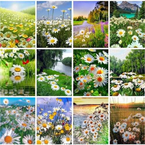HUACAN Diy Diamond Painting Flower Mosaic Natural Landscape Home Decoration Embroidery Daisy Diamond Art