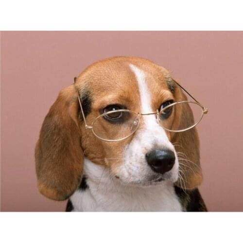 NEW Diamond Embroidery Dog Glasses Diamond Mosaic DIY Rhinestones Animal Picture Diamond Painting Cross Stitch Needle Gifts L945