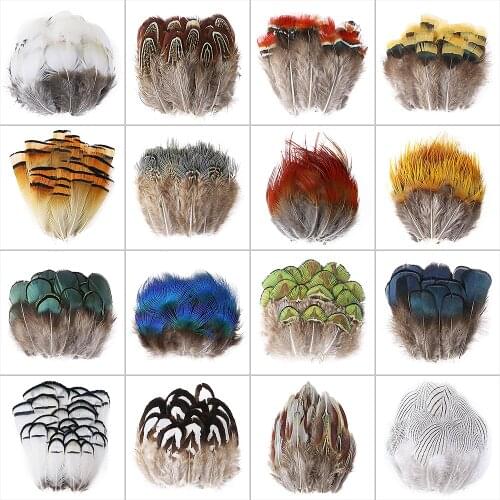 100PCS Real Pheasant Peacock Feathers for Decoration Crafts Jewelry Making Accessories 5-15CM Natural Plumes