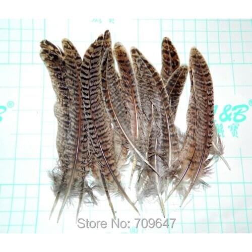 200Pcs/Lot 4-6" 10-15cm Natural Hen Ringneck PHEASANT Tail FEATHERS Craft Millinery Fly Fishing ,plume,feathers,перья