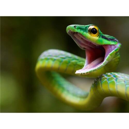 3D Diy Diamond Painting Green snake Full Square Rhinestones Cross Stitch Crystal Mosaic Embroidery Home Decoration A5993R