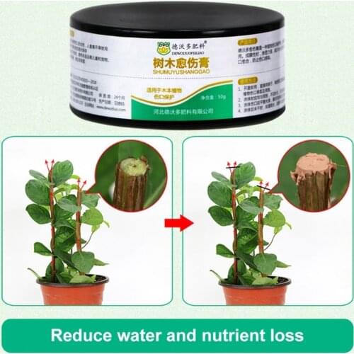 Bonsai Pruning Cutting Paste 50 g Wound Paste and Grafting Sealant Bonsai Tool Kit for Garden Plant Grafting for Quick new