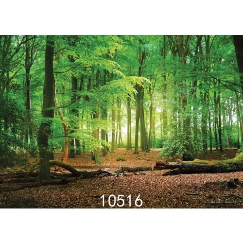Vinyl Photography Background for Photo Shoots Forest Green Tree Children Wedding Photographic Backdrop for Photo Studio