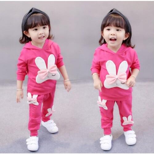 2019 Autumn Girls Clothing Sets Long Sleeve Sports Suit For Girls Kids Clothes Sets cotton Tracksuit for Girls Clothes Set Cost