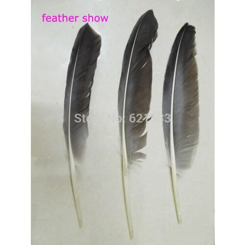 100Pcs/LOT!Natural Goose 10-12" FEATHER QUILLS Dip Pen Uncut - Calligraphy,Secret Writing,Magickal Seals,Talismans
