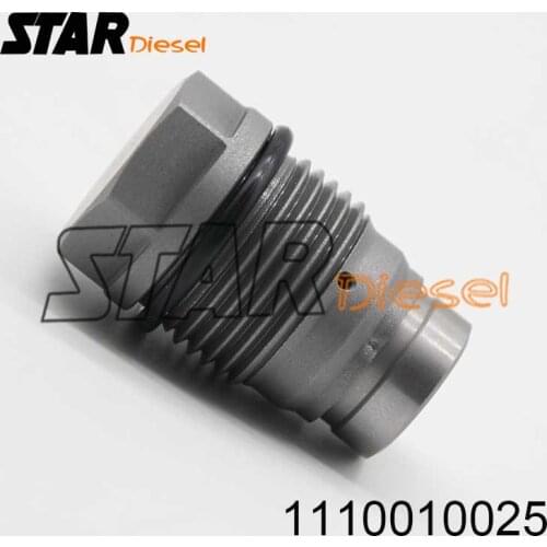 1110010025 Diesel Engine Common Rail Parts 1110010026 1110010027 1110010028 Pressure Relief Valve Limiter Sensor