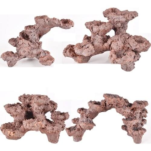 DW Aquarium Bio Active Rock Build Marine Systems Quickly Landscaping Rapid Cultivation Nitrifying Bacto Suitable For 40cm Tank