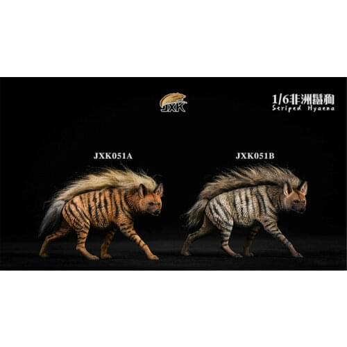 JXK 1:6 Scale Africa Striped Hyaena Figure Dog Hyaenidae Animal Collector Toy Resin Decoration Gift
