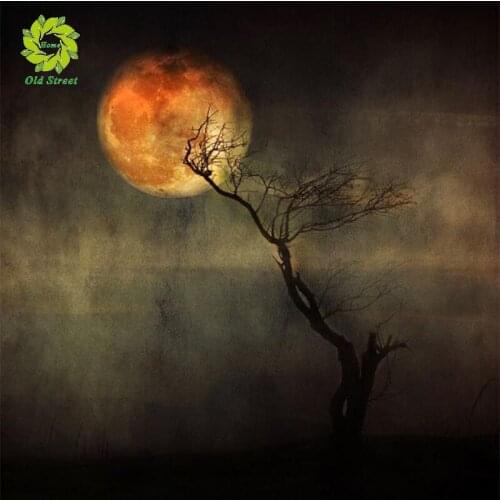 DIY diamond painting moon landscape round diamond embroidery mosaic home decoration pattern handmade mosaic round rhinestone