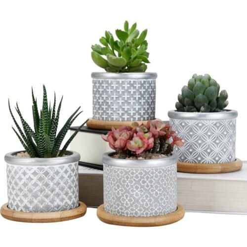 Cement Succulent Planter Pots,Cactus Plant Pot Indoor Small Concrete Herb With Bamboo Tray Grey 4In Set 2.95Inch