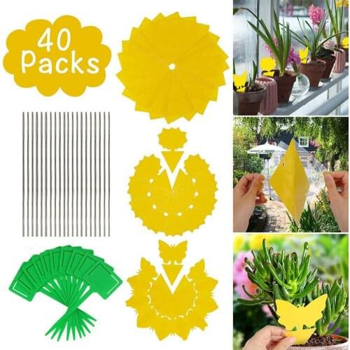 40Pcs/Set Dual-sided Non Toxic Waterproof Fruit Flying Insect Paper Sticky Traps