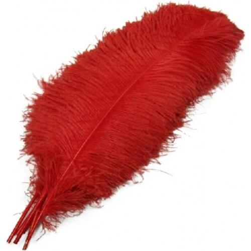 Wholesale 50-55 cm ostrich feathers for craft wedding party supplies Carnival dancer decoration plumas for DIY decoration