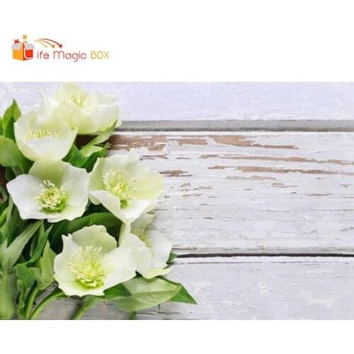 LIFE MAGIC BOX Background for Photo Sessions Moon Blue Sky Newborn Wedding Photography Backdrops