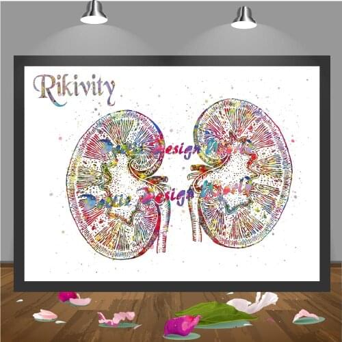 Rikivity Human Anatomy Poster Prints Canvas Painting Medical Kidneys Pictures Wall Art Doctor Clinic Decoration Wall Hanging Art