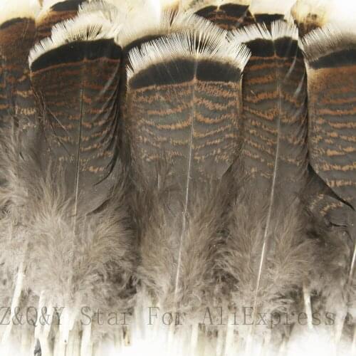 Natural 10-25CM (4-10 inches) flower turkey flat feather 50-100PCS DIY collection craft headdress earring accessories feather