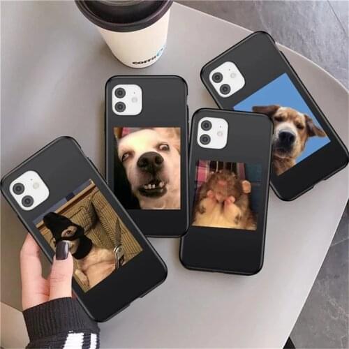 Funny Cute Cat Dog Pig Case For iPhone 11 12 Pro Max X XR XS Max 12 Mini 6 7 8 Plus 5S SE 2020 Soft Silicone Shockproof Cover