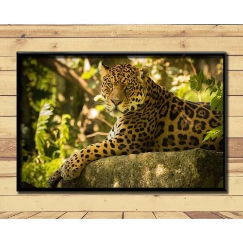 Jaguar Strong And Fast Land Animal (41) Wall Posters Prints Silk Art Painting For Home Wall Bedroom Decor
