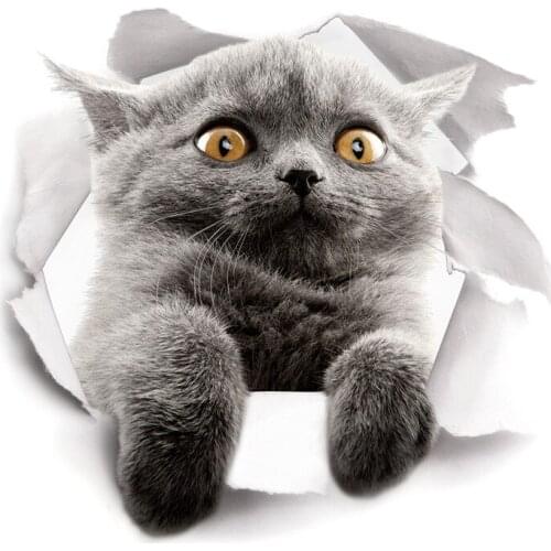 3d vivid hole cat wall stickers wall decals refrigerator toilet door Computer wall decals decoration animals mural art poster