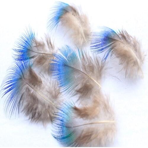 Wholesale 10 pcs Natural 4-7 cm Pheasant Feathers DIY Jewelry Clothing Hat Christmas Holiday Decorative
