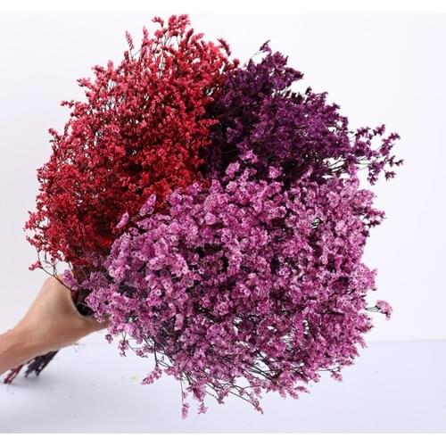 100g Natural Fresh Dried Preserved Forget me Flowers Real Forever 60cm Lover Grass Branch For Home Decor Limonium Statice