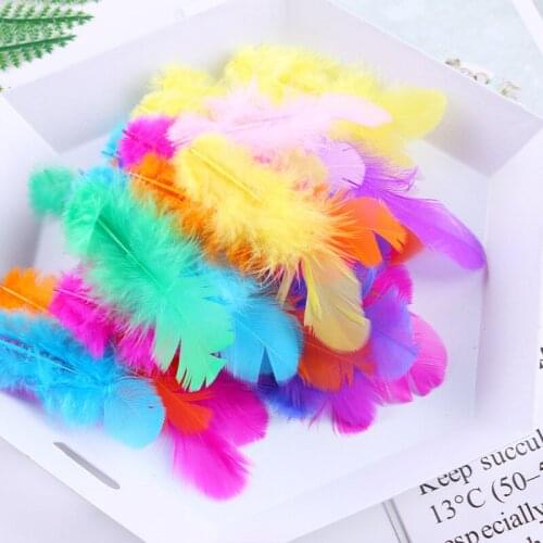 Natural Rooster Feathers 5-8cm Dyed Chicken Plumes for Crafts DIY Jewelry Making Accessory Wedding Feather Dress Decoration