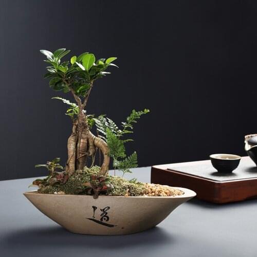 Creative Imitation Stone Flowerpot Ceramic Succulents Small Green Plants Potted Desktop Exquisite Bonsai Pot Decoration