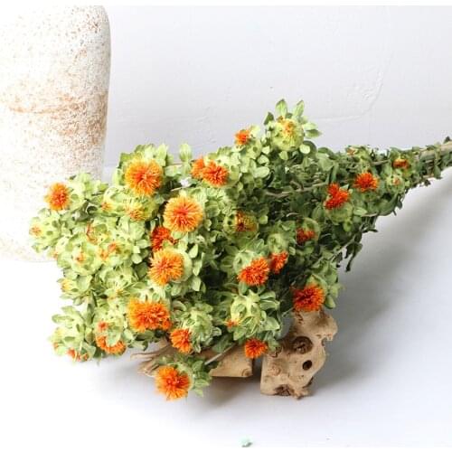 Real Chrysanthemum Dried Flower Vase Decor Natural Plants For Desk Table Farmhouse Office Christmas Wedding Party Decoration