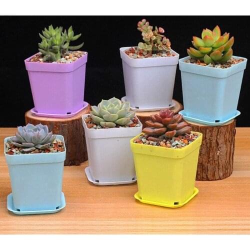 35 Pots for Indoor Plants Plastic Flowerpots with Drainage Holes and Trays Random Colors
