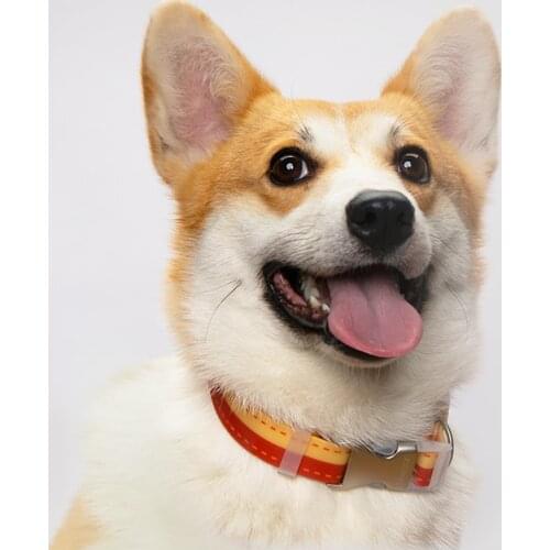 Ошейники Moestar China At AliExpress