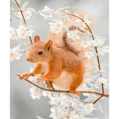 ARMYQZ New diy diamond embroidery cute squirrel full square diamond round diamond diamond painting cross stitch rhinestone mosai